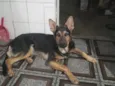 Nick 