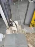 Pipa