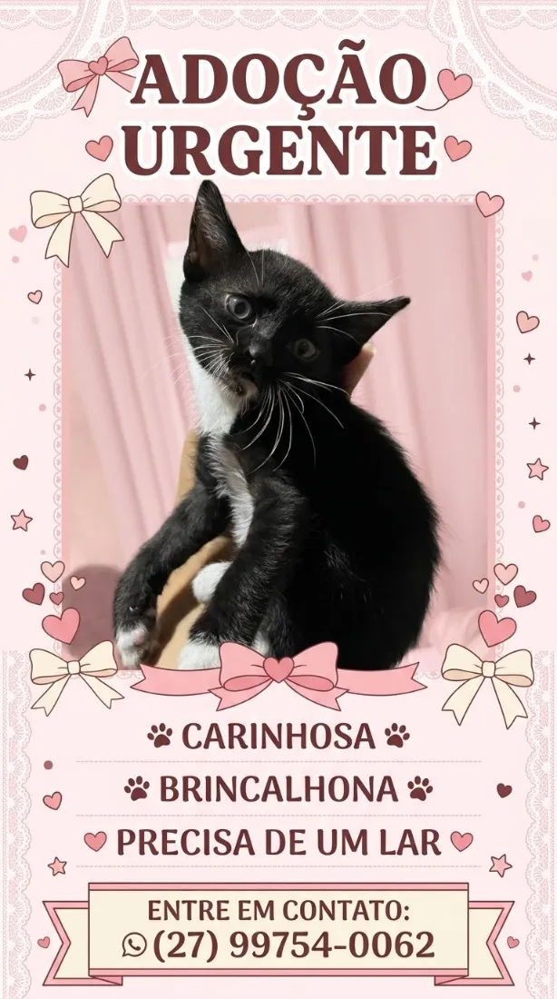 Gato raça SRD-ViraLata idade 2 a 6 meses nome Gracha