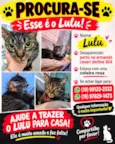 Lulu