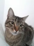 Lua