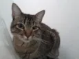 Lua