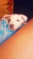 mili