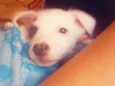 mili