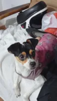 Penélope
