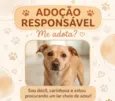 Falar com Michele - Whats 11 96303-3422