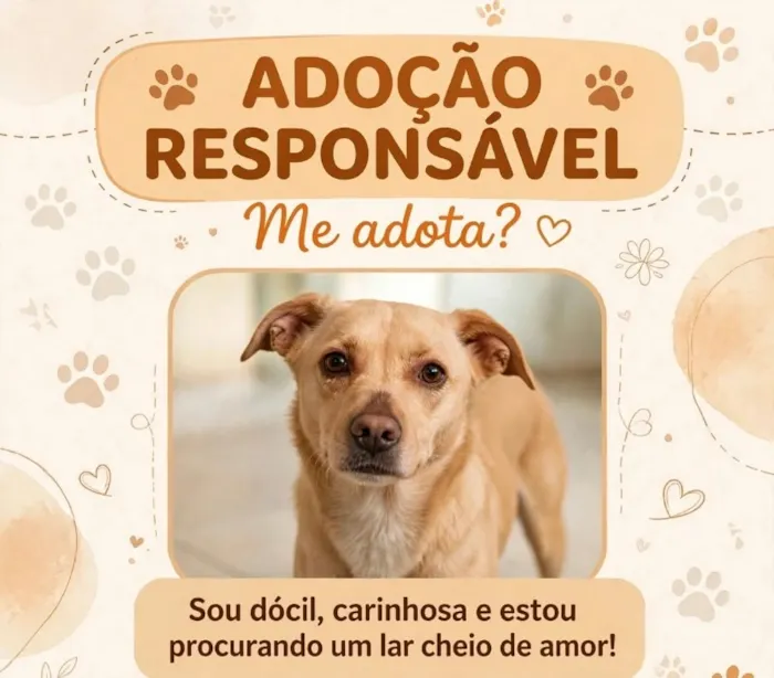 Cachorro raça SRD-ViraLata idade 3 anos nome Falar com Michele - Whats 11 96303-3422