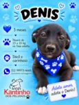 Denis