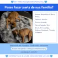 Benedito e Boca Preta