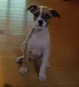 Nina
