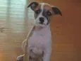Nina