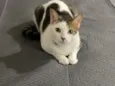 Peter