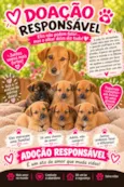 caramelo e seus filhotes