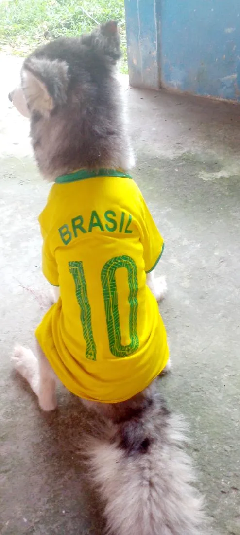 Cachorro raça SRD-ViraLata idade 3 anos nome lucky