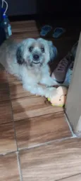 Chooky