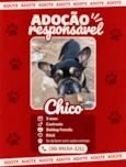 Chico