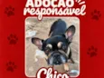 Chico