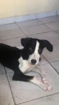 Mel