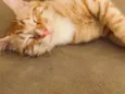 Cheetos