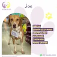 Joe