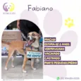 Fabiano