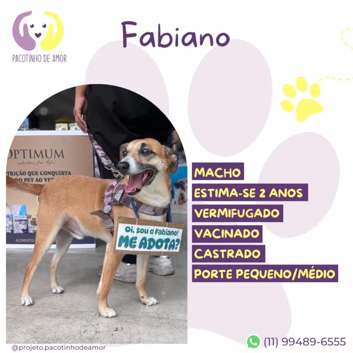 Cachorro raça SRD-ViraLata idade 2 anos nome Fabiano
