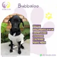 Bubbaloo