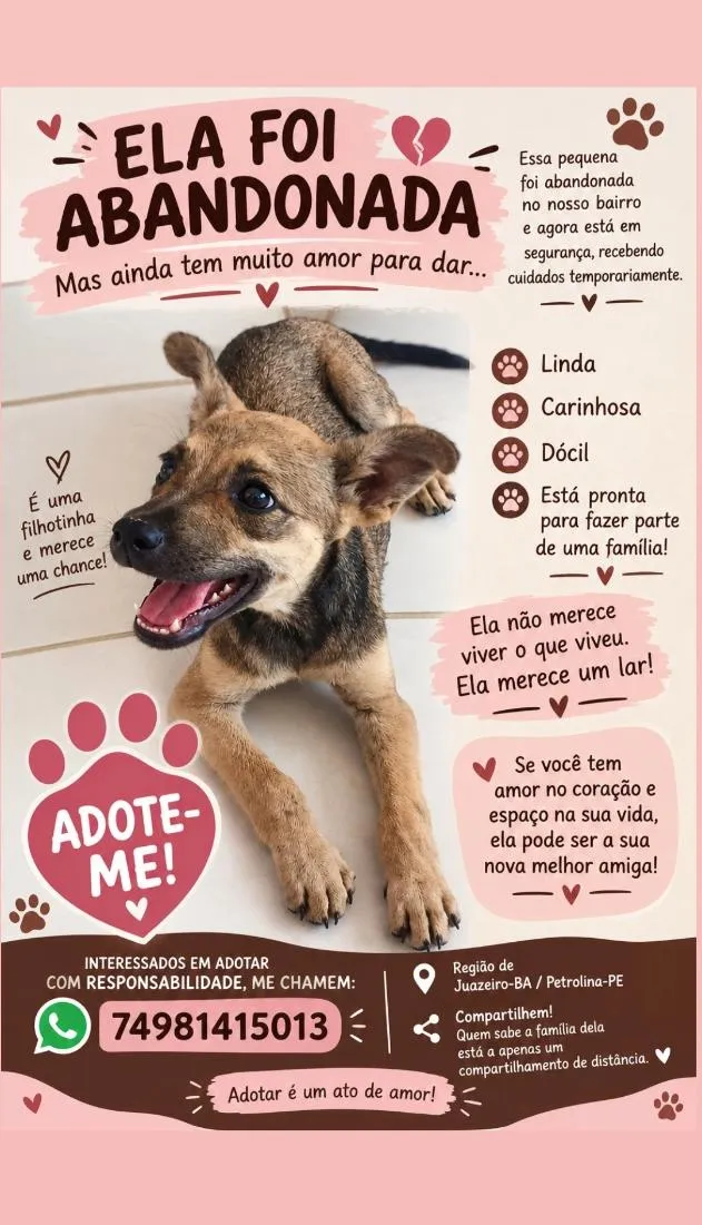 Cachorro raça SRD-ViraLata idade 2 a 6 meses nome Bella