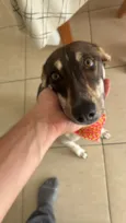 Kira