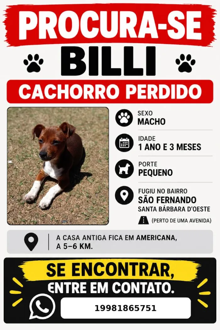 Cachorro raça SRD-ViraLata idade 1 ano nome Billi