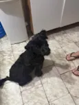 Mel