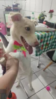 zaya