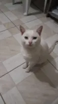 Bruno