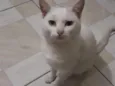 Bruno