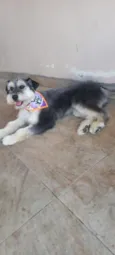 Nala