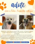 Fiapinho e Maju