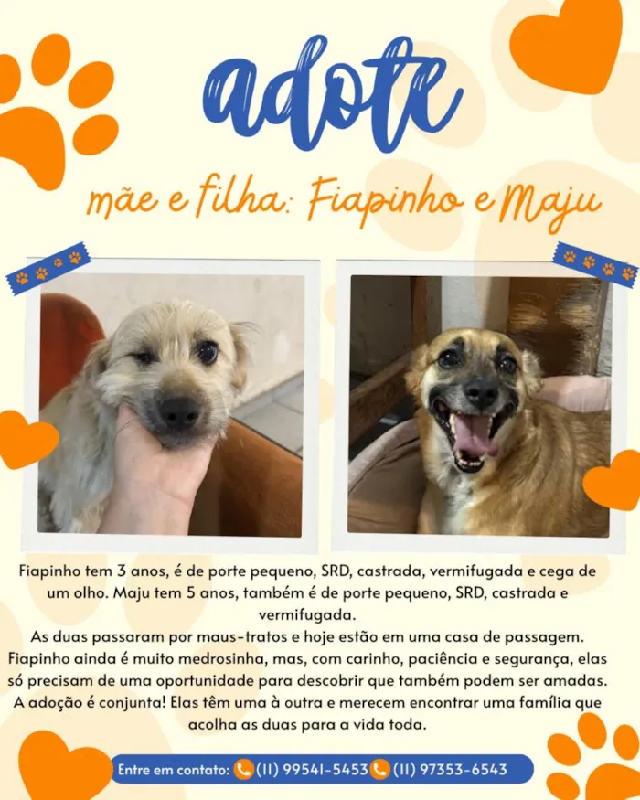 Cachorro raça SRD-ViraLata idade 3 anos nome Fiapinho e Maju