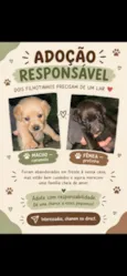 Romeu e Julieta 