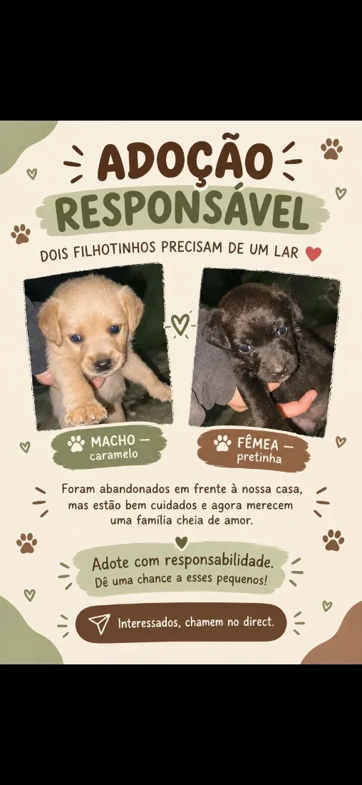 Cachorro raça SRD-ViraLata idade Abaixo de 2 meses nome Romeu e Julieta 