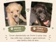 Romeu e Julieta 