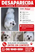 Polar