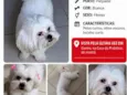 Polar