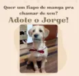 Jorge