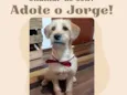 Jorge