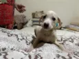 Plutão