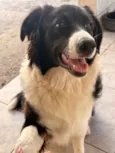Zoey