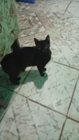 Salém