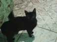 Salém