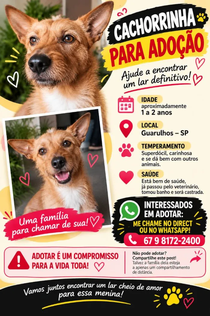 Cachorro raça SRD-ViraLata idade 1 ano nome Caramela