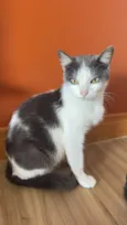 Bijou